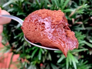 292 Brigadeiro de colher zafferano bar e cozinha restaurante mogi mirim